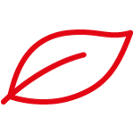 Coppola Foods - Approach | Organic